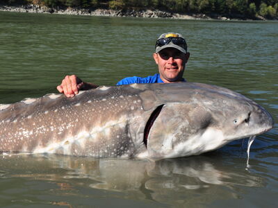 Canada zalm en steur