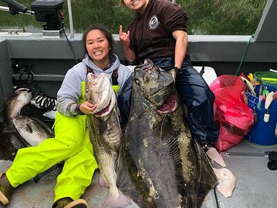 Beringzee, heilbot en zalm Alaska