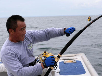 Nova Scotia, blauwvin tonijn, Canada