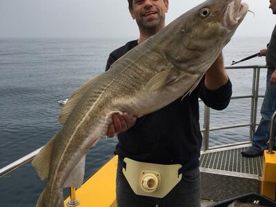 Hirtshals, Gele Rif, Denemarken