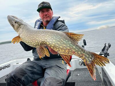 NEDERLAND ULTIMATE FISHING EXPERIENCE