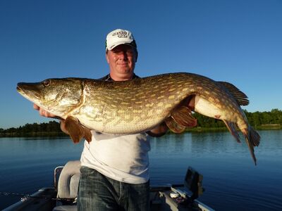 Smartlures Roofvis Festival 2026