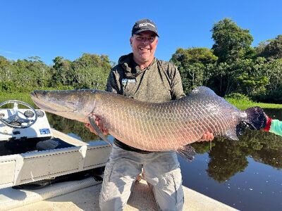 Arapaima Bolivia