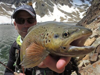 Op de top van de Pyreneeën