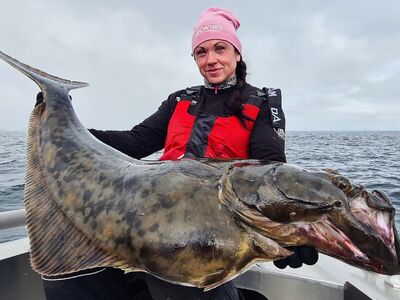 Hemmingodden Nappstraumen