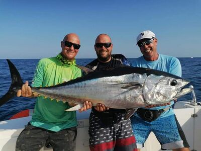 Spanje Blauwvintonijn