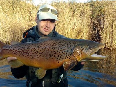 Van oost naar west in de Spaanse Pyreneeën okt 26