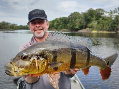 Peacock Bass Houseboat jan 25