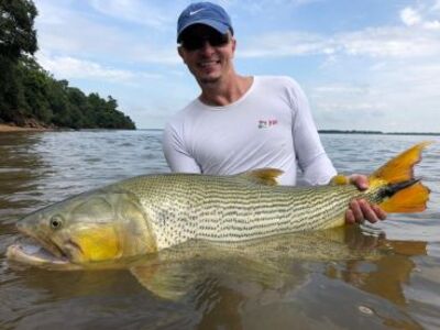 Argentinie, Golden Dorado