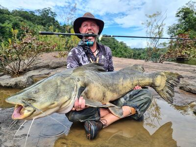 Amazone Guyana okt 2025