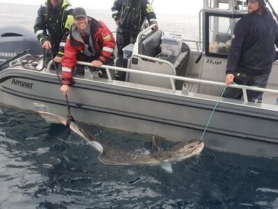 Nipro Noorwegen Festival mei 2026