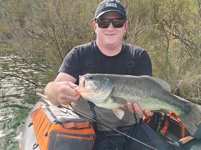 Spaanse bellyboat Black Bass