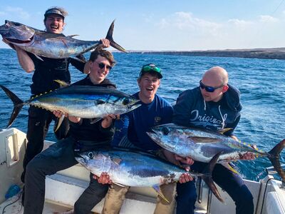 Nipro goes Egypt! mrt 26