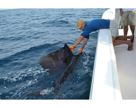 Verenigde Arabische Emiraten