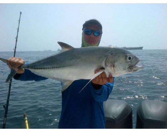 Verenigde Arabische Emiraten