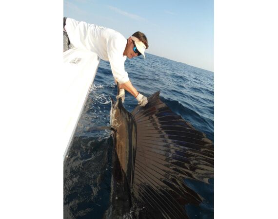 Verenigde Arabische Emiraten