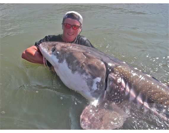 Canada zalm en steur