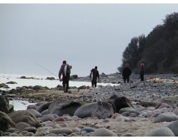 Moen, Denemarken Zeeforel