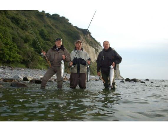 Moen, Denemarken Zeeforel