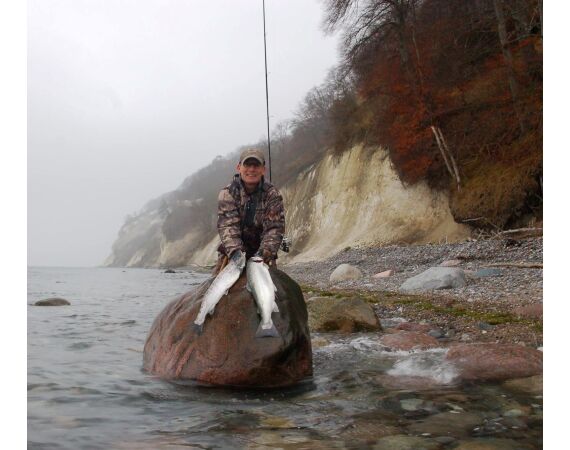 Moen, Denemarken Zeeforel