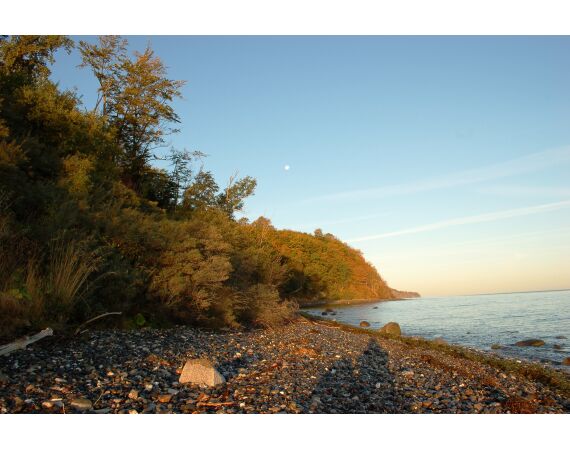 Moen, Denemarken Zeeforel