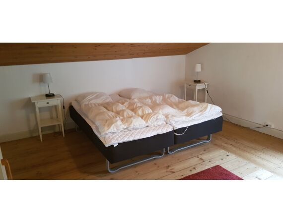 Moen, Denemarken Zeeforel