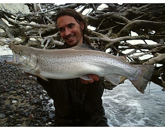 Moen, Denemarken Zeeforel