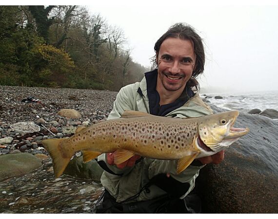 Moen, Denemarken Zeeforel