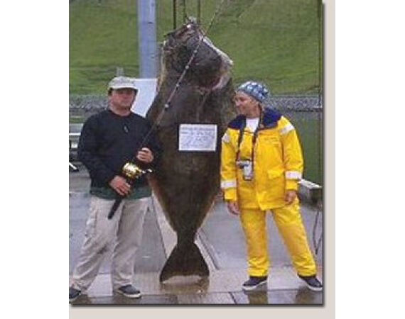 Beringzee, heilbot en zalm Alaska