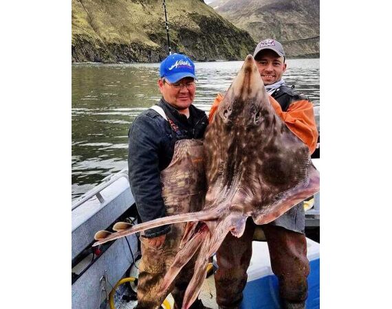 Beringzee, heilbot en zalm Alaska