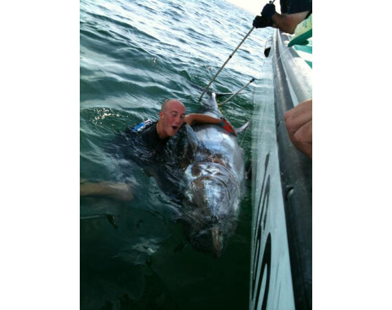 Nova Scotia, blauwvin tonijn, Canada