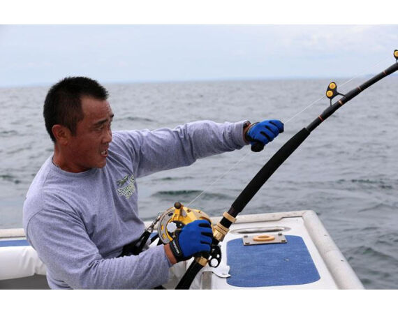 Nova Scotia, blauwvin tonijn, Canada