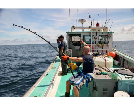 Nova Scotia, blauwvin tonijn, Canada