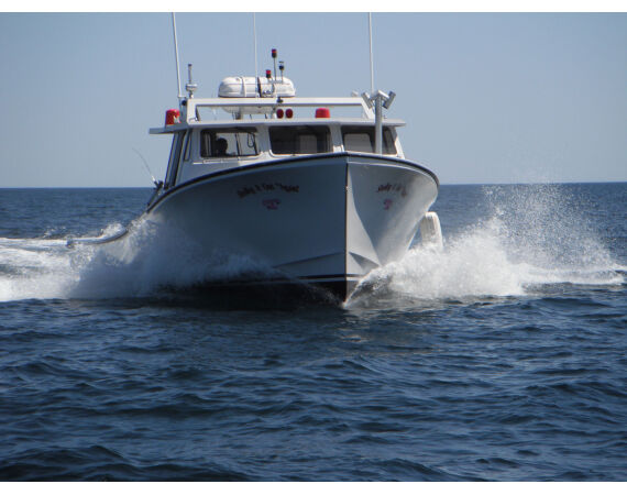 Nova Scotia, blauwvin tonijn, Canada