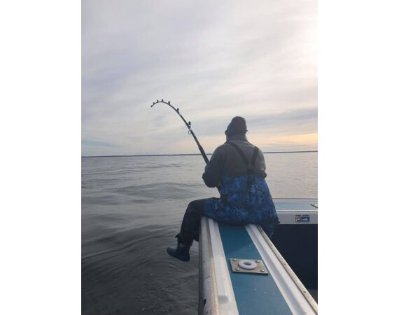 Nova Scotia, blauwvin tonijn, Canada