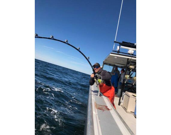 Nova Scotia, blauwvin tonijn, Canada