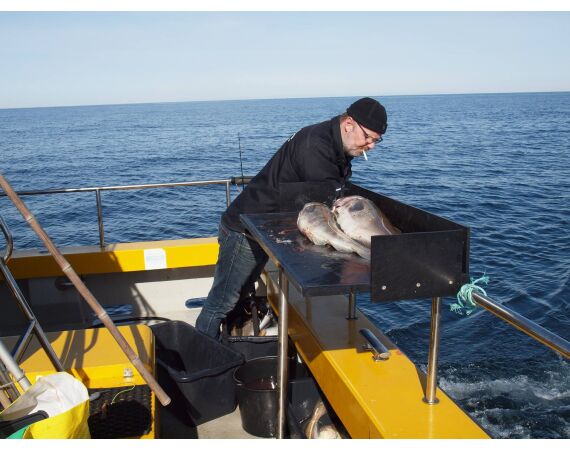 Hirtshals, Gele Rif, Denemarken
