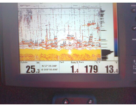 Hirtshals, Gele Rif, Denemarken