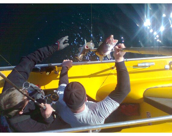 Hirtshals, Gele Rif, Denemarken