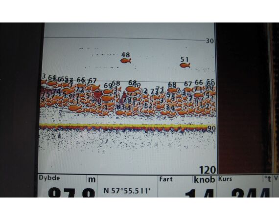 Hirtshals, Gele Rif, Denemarken