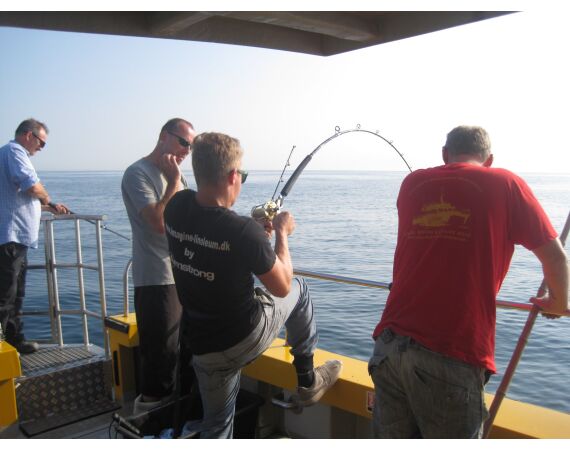 Hirtshals, Gele Rif, Denemarken