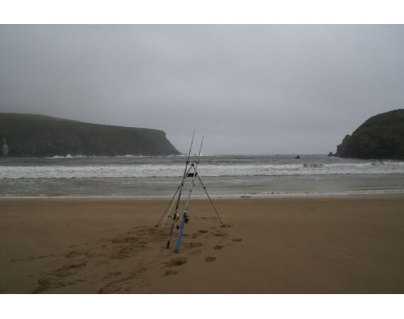 Ierland, Donegal zeevissen