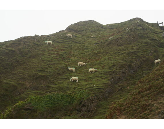 Ierland, Donegal zeevissen