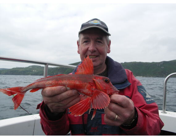 Ierland, Donegal zeevissen