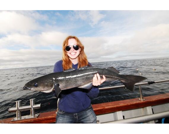 Ierland, Donegal zeevissen