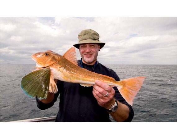 Ierland, Donegal zeevissen