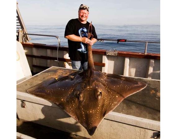 Ierland, Donegal zeevissen