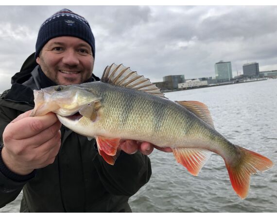 NEDERLAND ULTIMATE FISHING EXPERIENCE