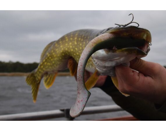 Smartlures Roofvis Festival 2026