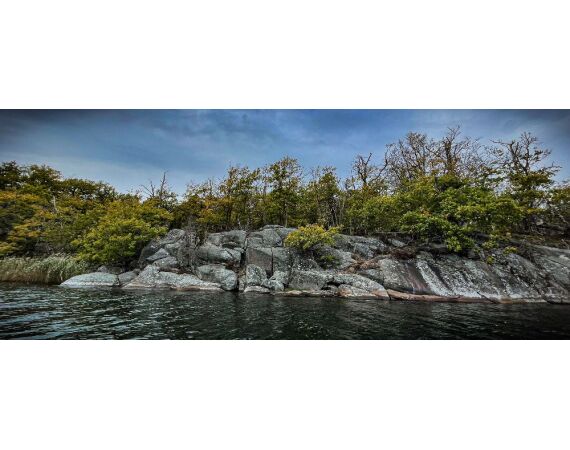 Smartlures Roofvis Festival 2026